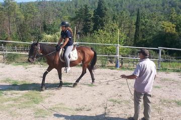 Photo 34