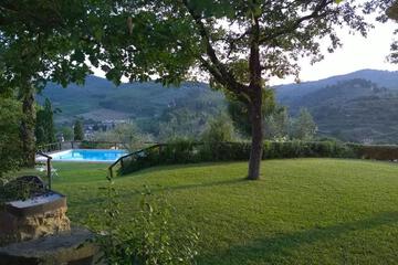 Photo 41