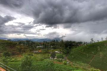 View from property