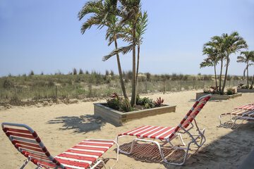 Terrace/Patio 73 of 77