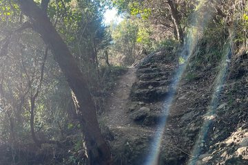 Hiking