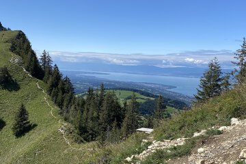 Hiking