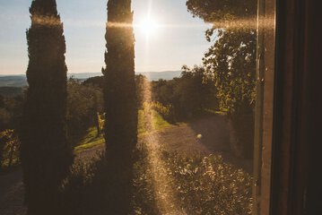 View from room