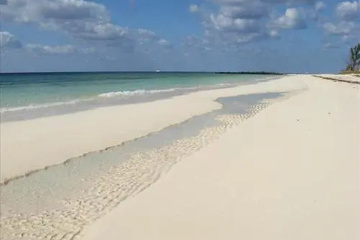 beach