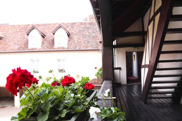 Courtyard view