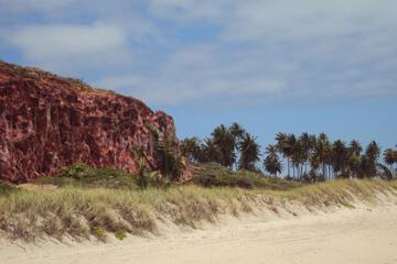 Photo 28
