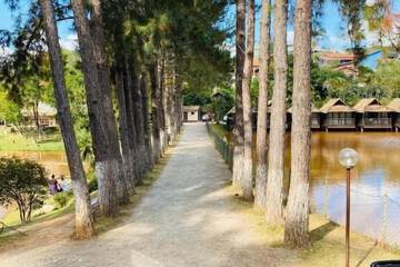 Lake view