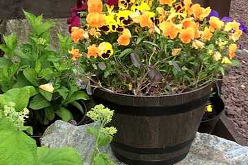 Photo 48
