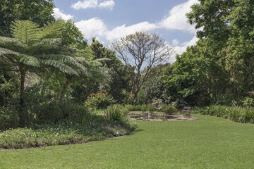 Children's activities
