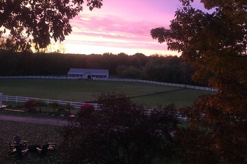 View from room