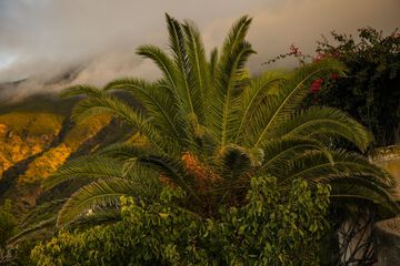 Land view from property