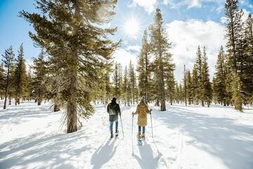 Snowshoeing
