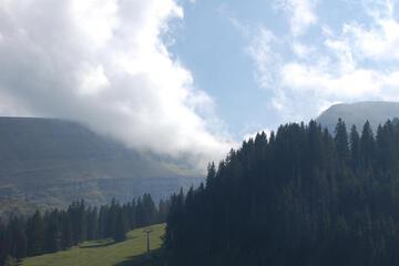 Photo 49