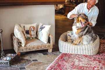 Pet-friendly