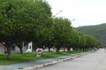 City view from property