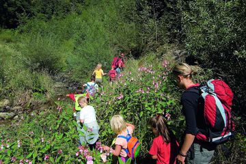 Children's activities