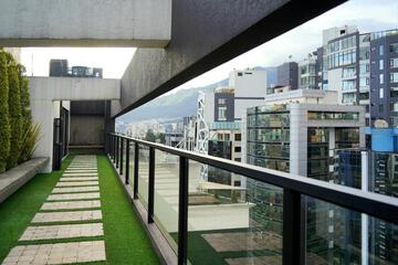 Photo 24