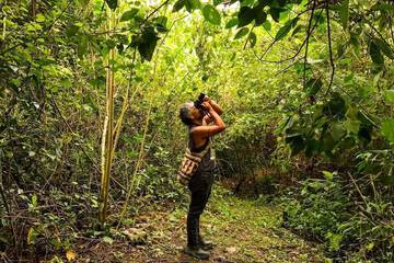 Hiking