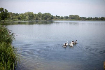 Lake