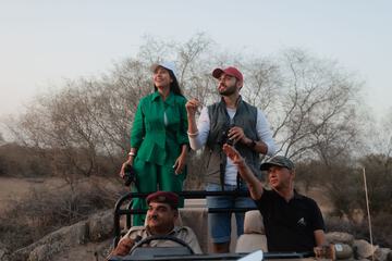 Safari