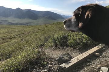Hiking