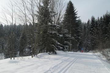Photo 39