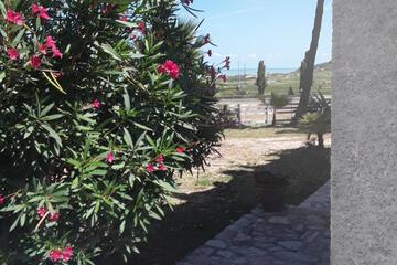Photo 35