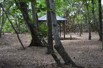 Photo 45