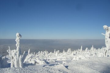 Snowshoeing