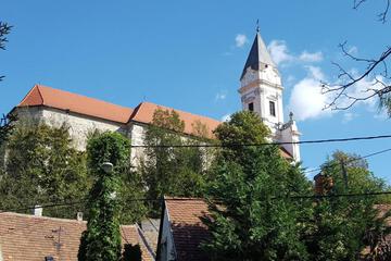 Photo 37