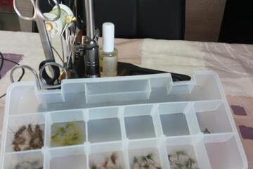 Photo 38
