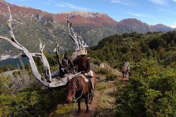 Horseback riding