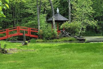 Photo 46
