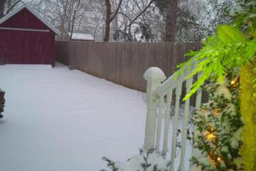 Photo 29