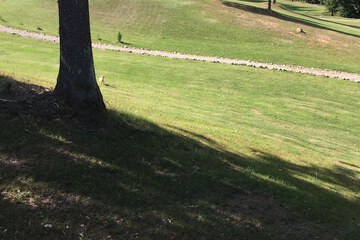 Land view from property
