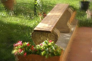 Photo 38