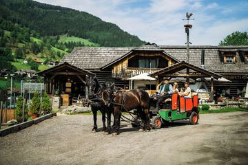 Horseback riding