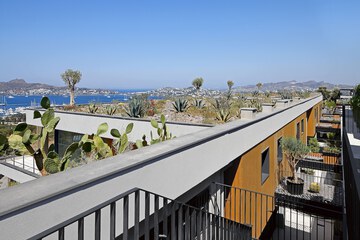 Beach/ocean view