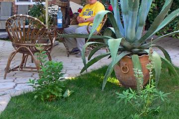 Photo 34