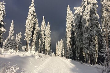 Hiking