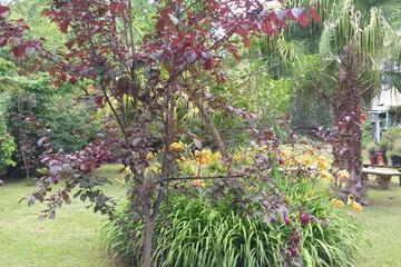 Photo 30
