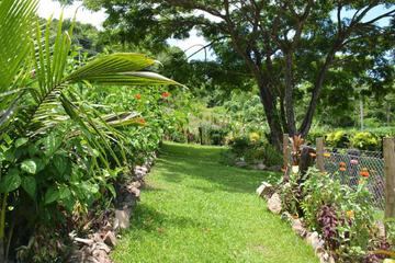 Photo 43