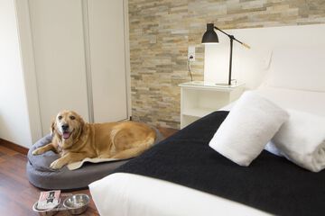 Pet-friendly