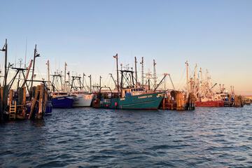 Fishing
