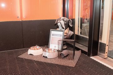 Pet-friendly amenities