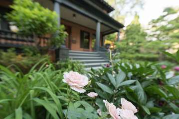 Property Grounds 47 of 48