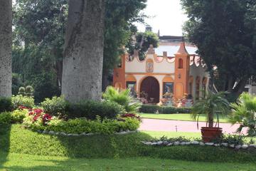 Photo 25