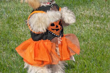 Water Sports 172 of 175