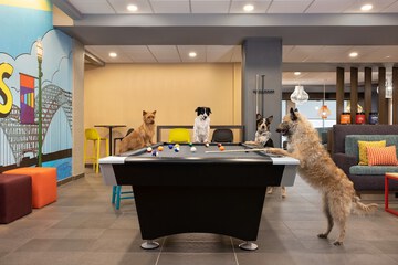 Pet-friendly
