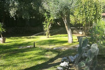 Photo 43